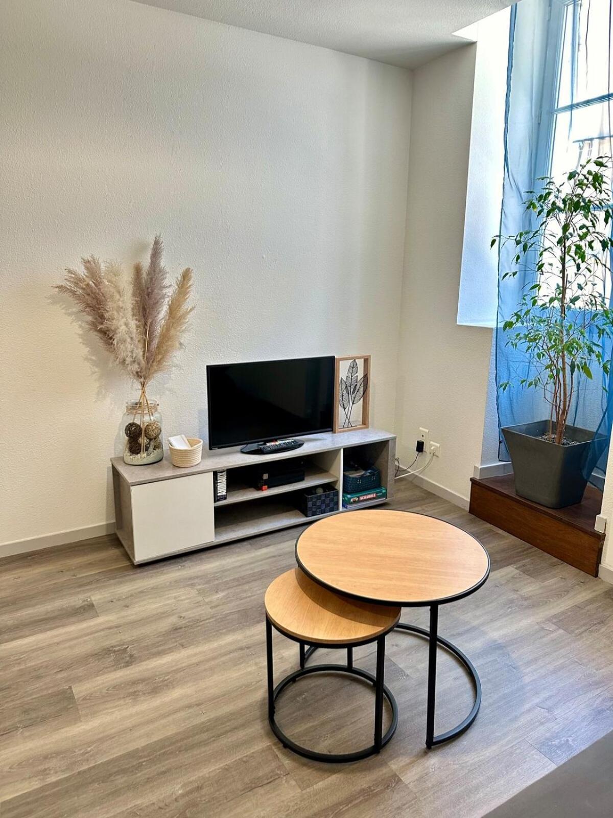 Appartement Calme Au Coeur De La Ville Lons-le-Saunier Exterior foto